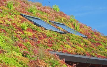 Potters Crouch living roof systems